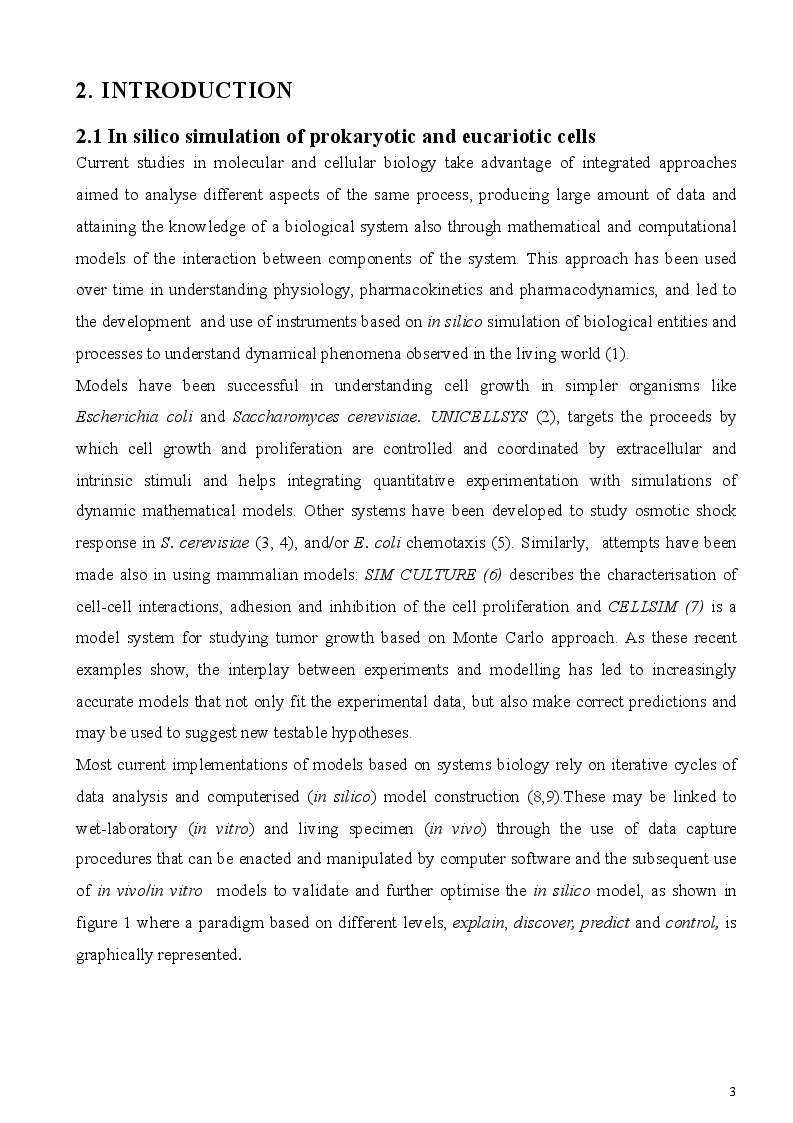 Anteprima della tesi: In silico simulation of cell proliferation and movement, Pagina 3
