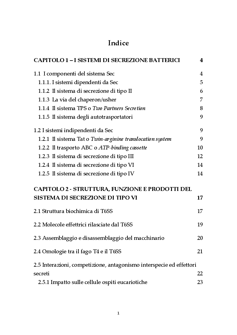 Indice della tesi: Il sistema di secrezione di tipo VI: un esempio di strategia evolutiva nel contesto della competizione tra popolazioni batteriche, Pagina 1