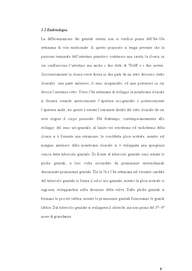 Anteprima della tesi: Cambio di sesso: aspetti clinici, chirurgici e medicolegali, Pagina 5
