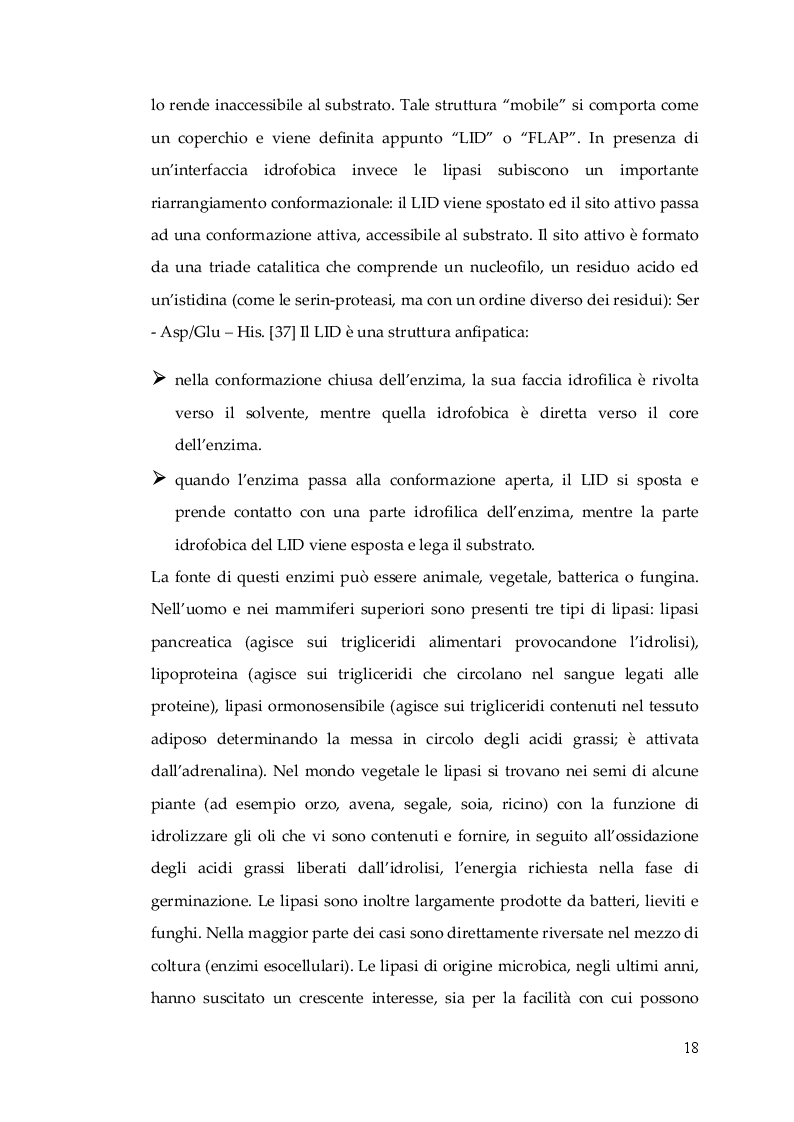 Estratto dalla tesi: Nuovo Nanocatalizzatore per la valorizzazione di scarti provenienti dall’industria del pomodoro