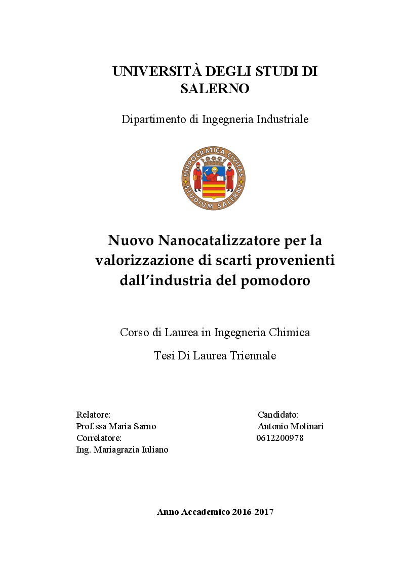 Anteprima della tesi: Nuovo Nanocatalizzatore per la valorizzazione di scarti provenienti dall’industria del pomodoro, Pagina 1