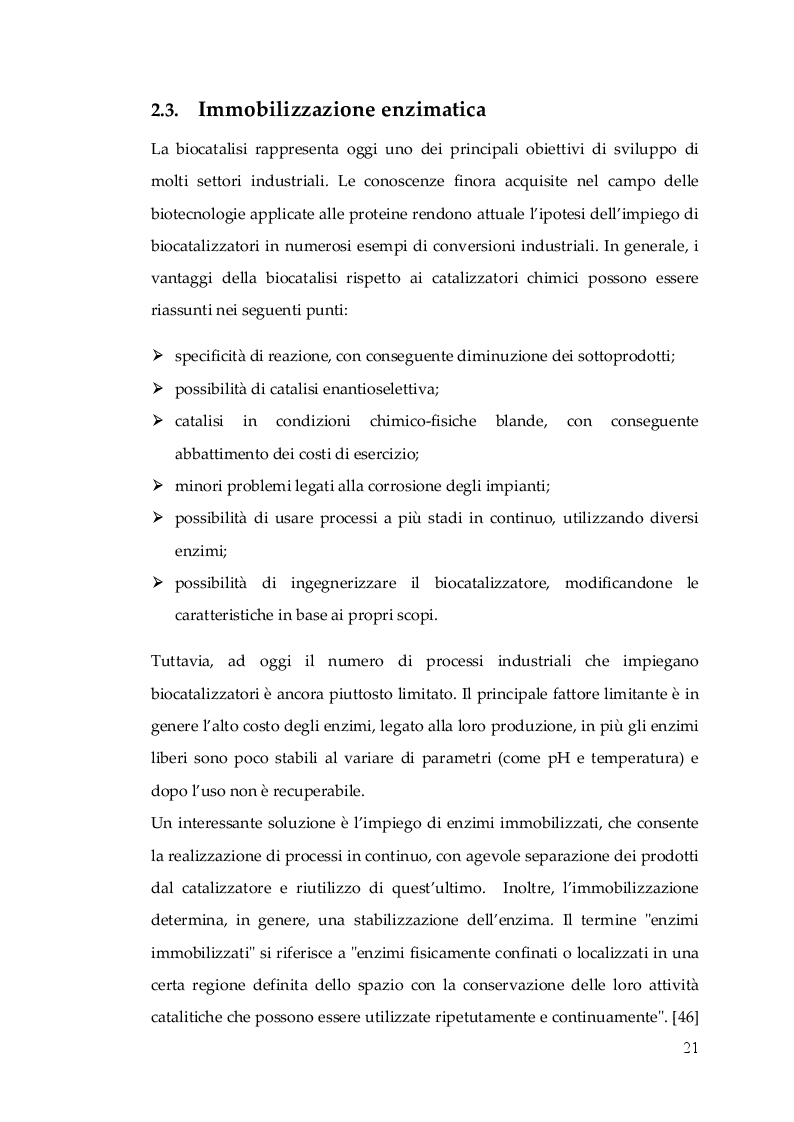 Anteprima della tesi: Nuovo Nanocatalizzatore per la valorizzazione di scarti provenienti dall’industria del pomodoro, Pagina 4