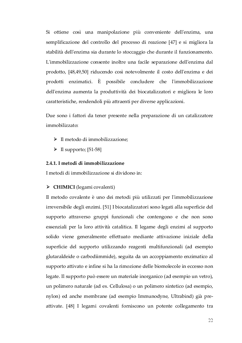 Anteprima della tesi: Nuovo Nanocatalizzatore per la valorizzazione di scarti provenienti dall’industria del pomodoro, Pagina 5