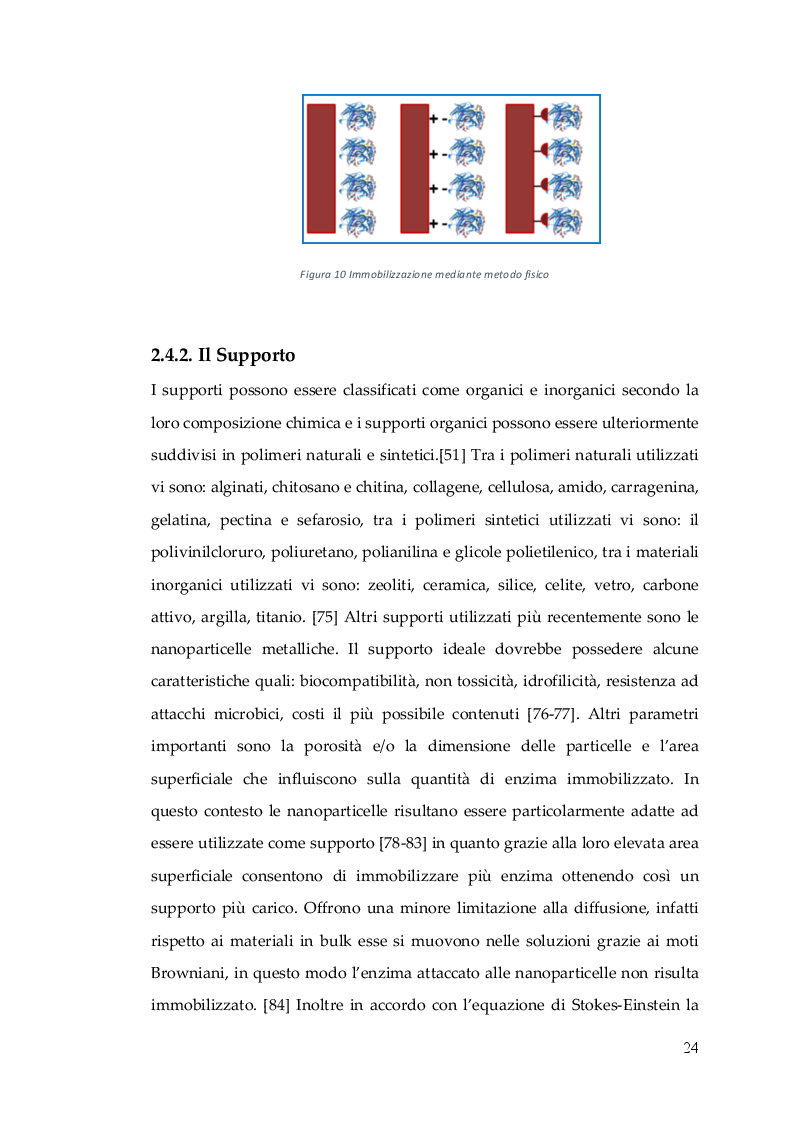 Anteprima della tesi: Nuovo Nanocatalizzatore per la valorizzazione di scarti provenienti dall’industria del pomodoro, Pagina 7