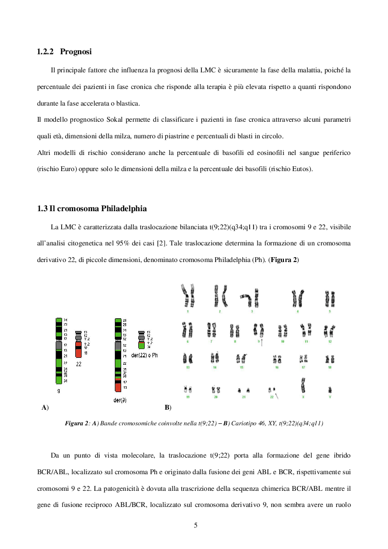 Anteprima della tesi: Caratterizzazione e ruolo delle alterazioni citogenetiche che insorgono nel clone Philadelphia negativo durante il trattamento con inibitori delle tirosinchinasi nella Leucemia Mieloide Cronica, Pagina 5
