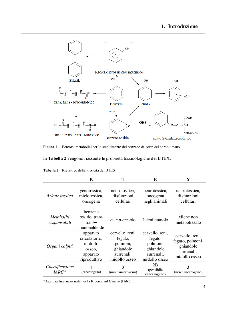 Anteprima della tesi: Sviluppo e validazione di un metodo analitico basato sulla gas cromatografia con rivelazione a ionizzazione da scarica a barriera (GC/BID) per la determinazione dei BTEX in campioni di acqua, Pagina 5