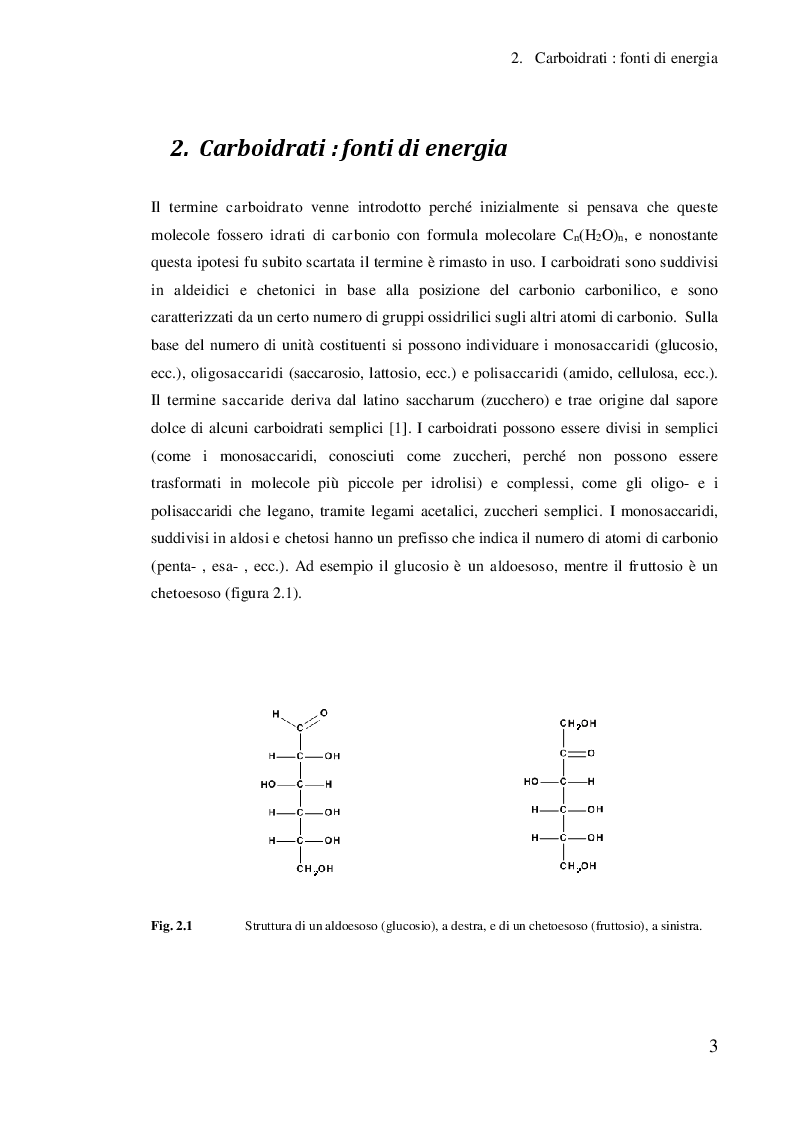 Anteprima della tesi: Studio dell’effetto di alcuni co-catalizzatori metallici sull’elettrocatalisi dell’oro per l’analisi dei carboidrati, Pagina 4