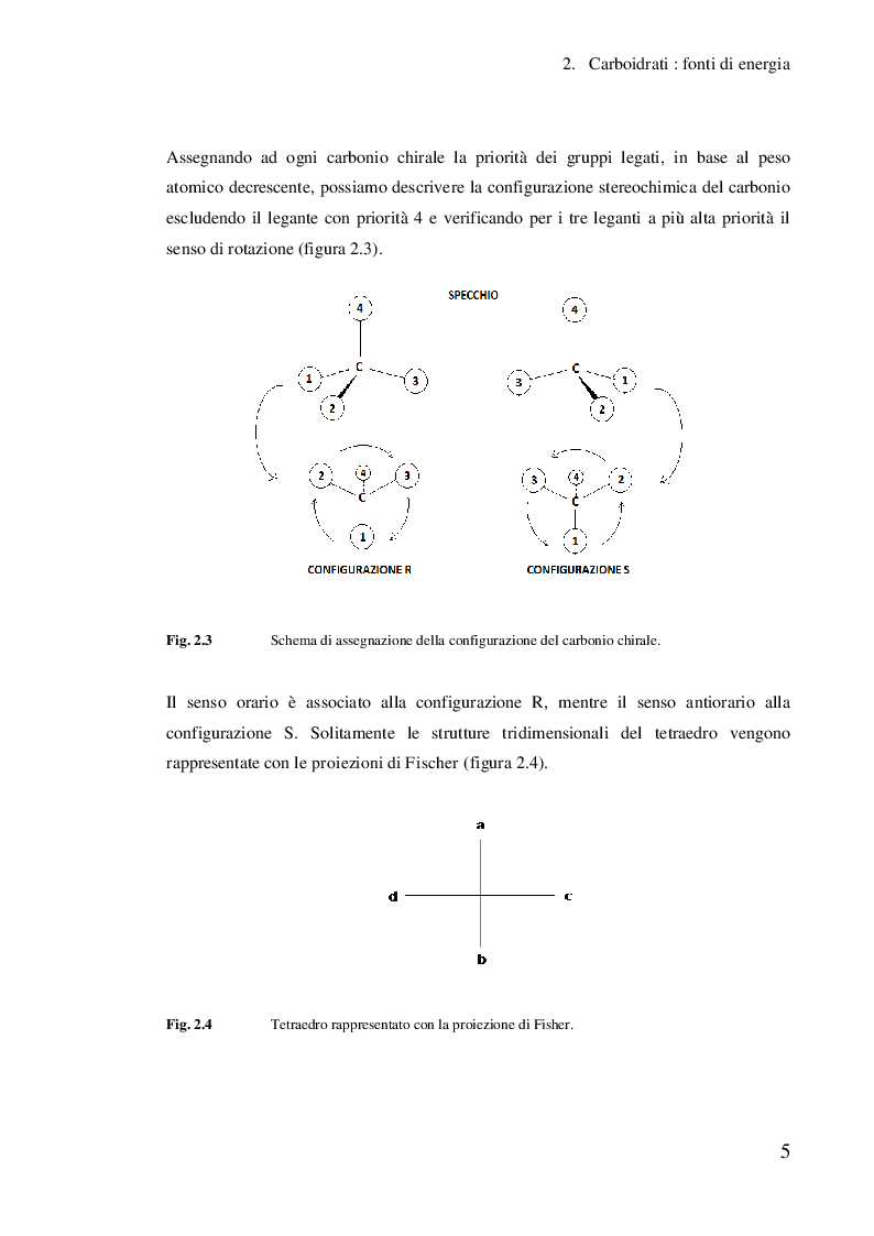 Anteprima della tesi: Studio dell’effetto di alcuni co-catalizzatori metallici sull’elettrocatalisi dell’oro per l’analisi dei carboidrati, Pagina 6