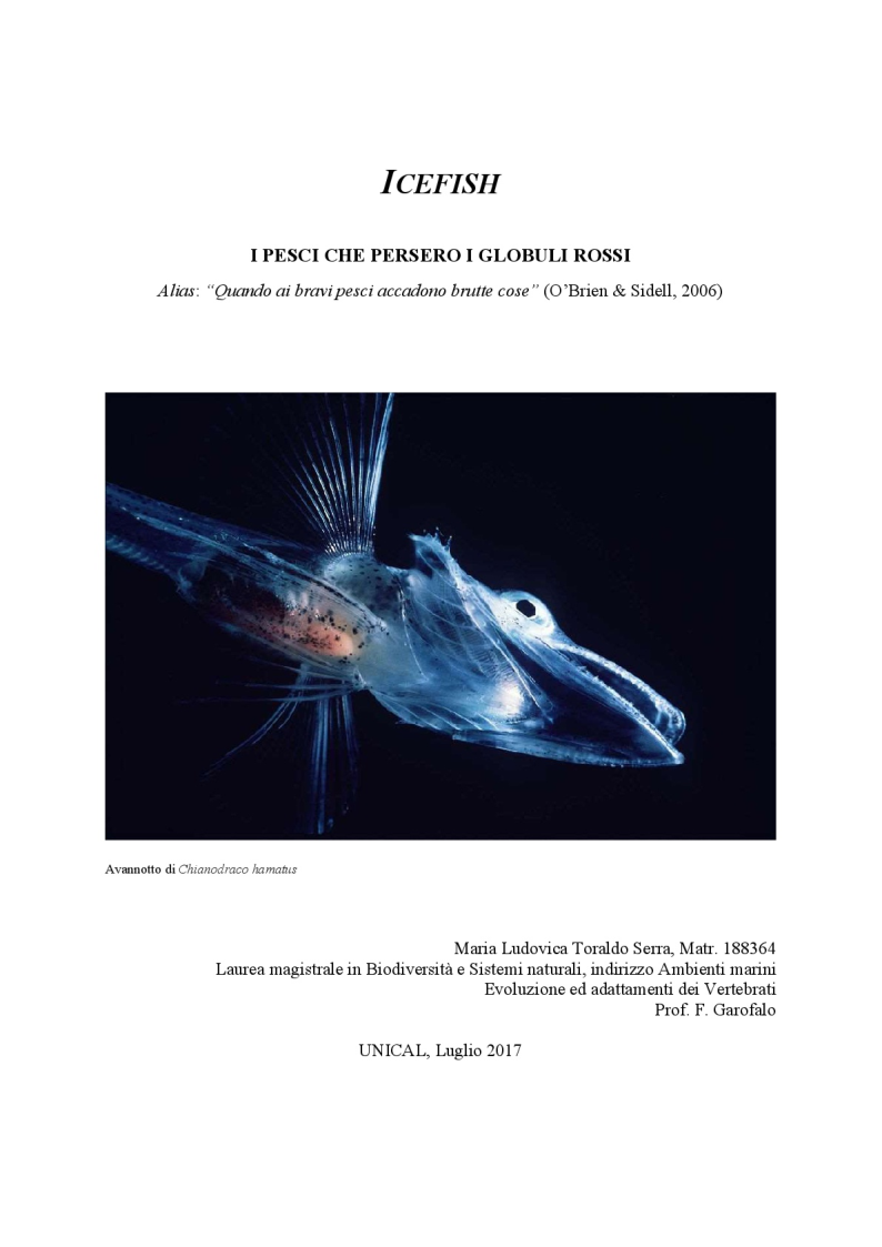 Anteprima della tesi: Icefish, i pesci che persero i globuli rossi, Pagina 1