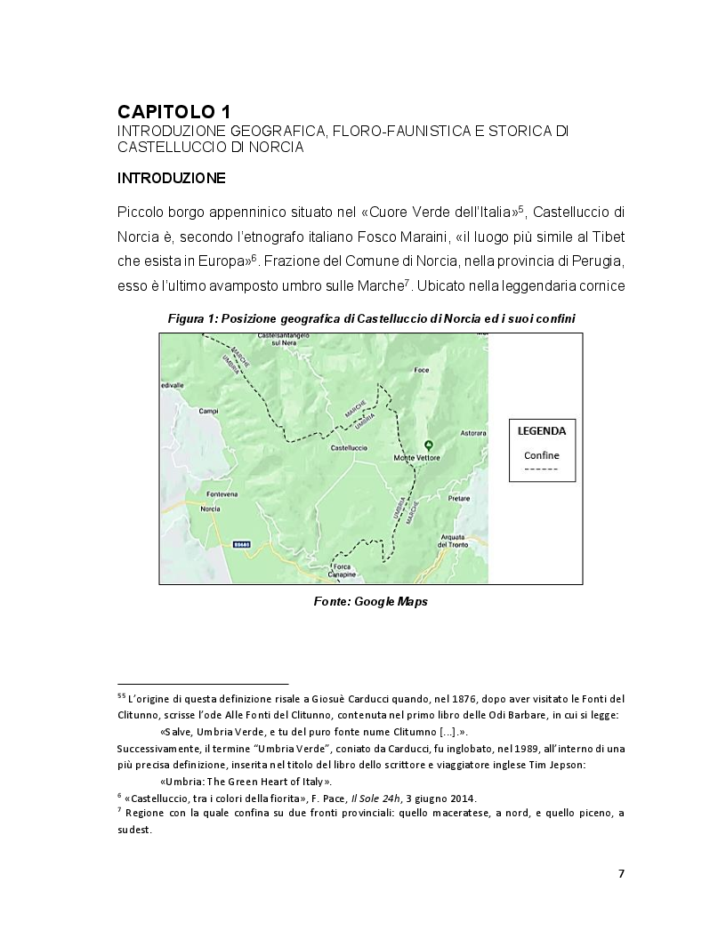 Anteprima della tesi: Turismo e terremoto: analisi degli impatti sismici sui flussi turistici a Castelluccio di Norcia. Proposte per la ripartenza e la riqualificazione del settore., Pagina 4