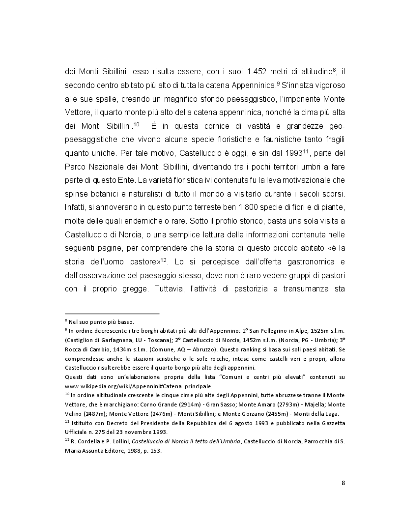 Anteprima della tesi: Turismo e terremoto: analisi degli impatti sismici sui flussi turistici a Castelluccio di Norcia. Proposte per la ripartenza e la riqualificazione del settore., Pagina 5