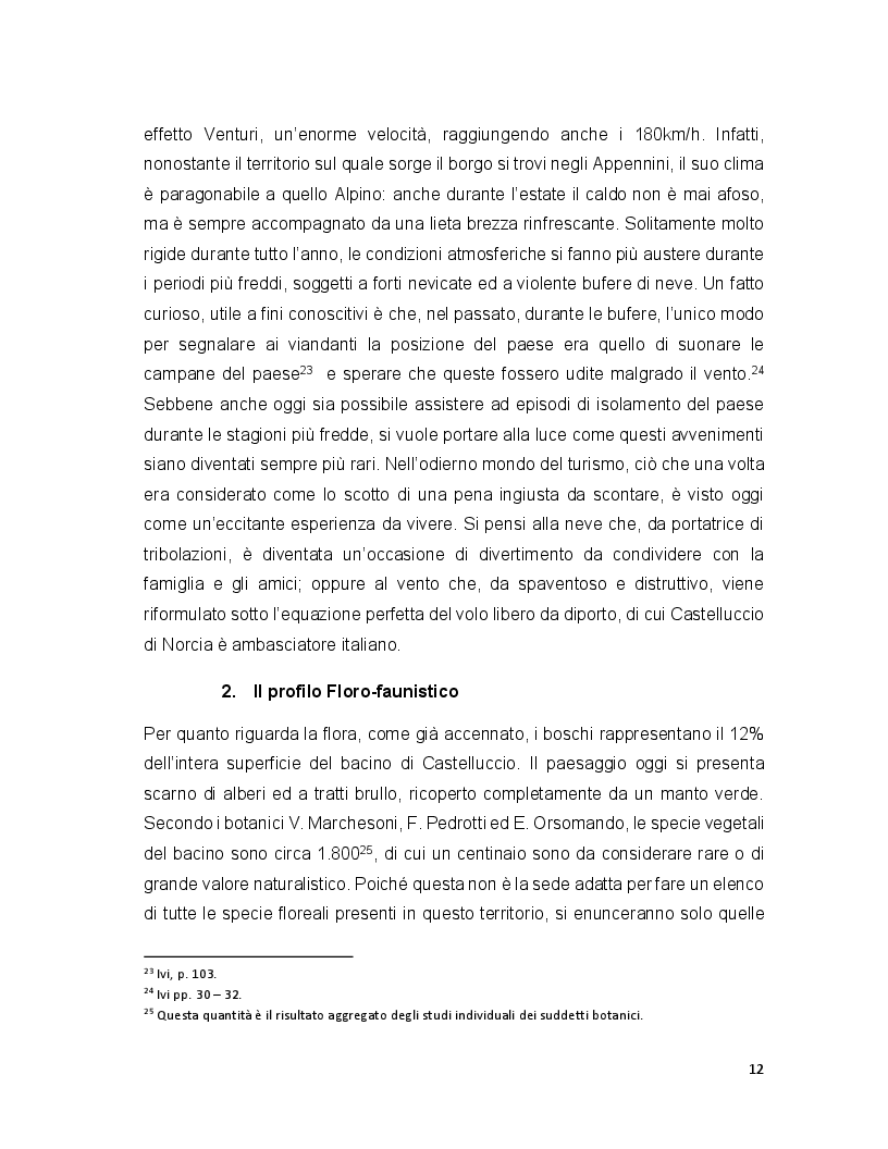Anteprima della tesi: Turismo e terremoto: analisi degli impatti sismici sui flussi turistici a Castelluccio di Norcia. Proposte per la ripartenza e la riqualificazione del settore., Pagina 9