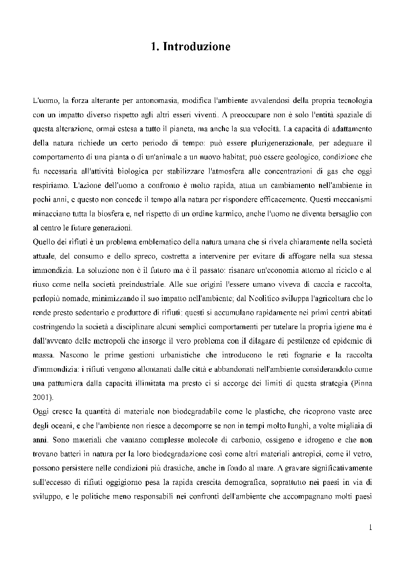 Anteprima della tesi: Le Dimensioni della Termovalorizzazione, Pagina 2