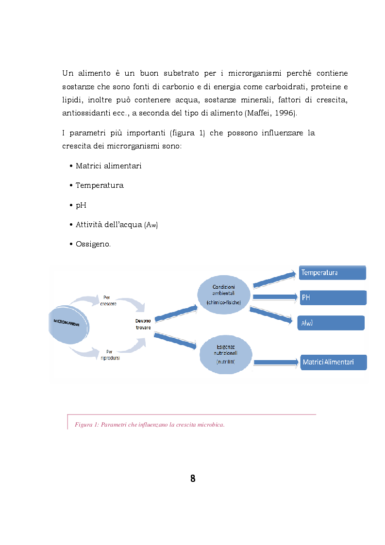 Anteprima della tesi: Biofilm microbici e igiene degli alimenti, Pagina 5