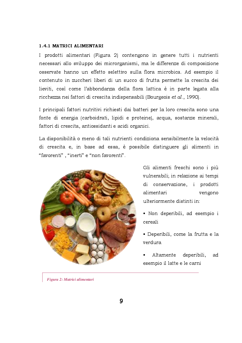 Anteprima della tesi: Biofilm microbici e igiene degli alimenti, Pagina 6