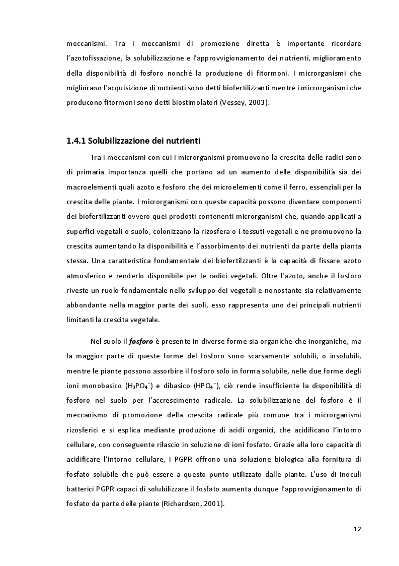 Estratto dalla tesi: Studio della Biodiversità nelle Comunità Microbiche nei Vigneti del Montepulciano d'Abruzzo
