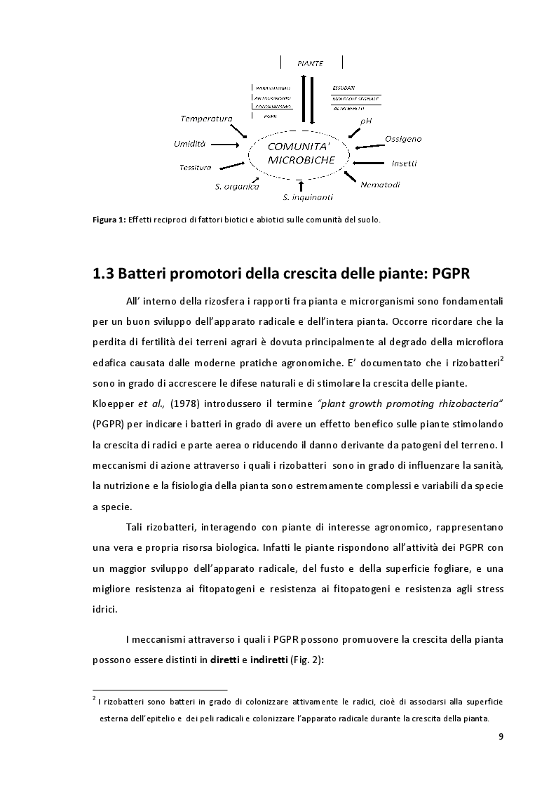 Anteprima della tesi: Studio della Biodiversità nelle Comunità Microbiche nei Vigneti del Montepulciano d'Abruzzo, Pagina 6
