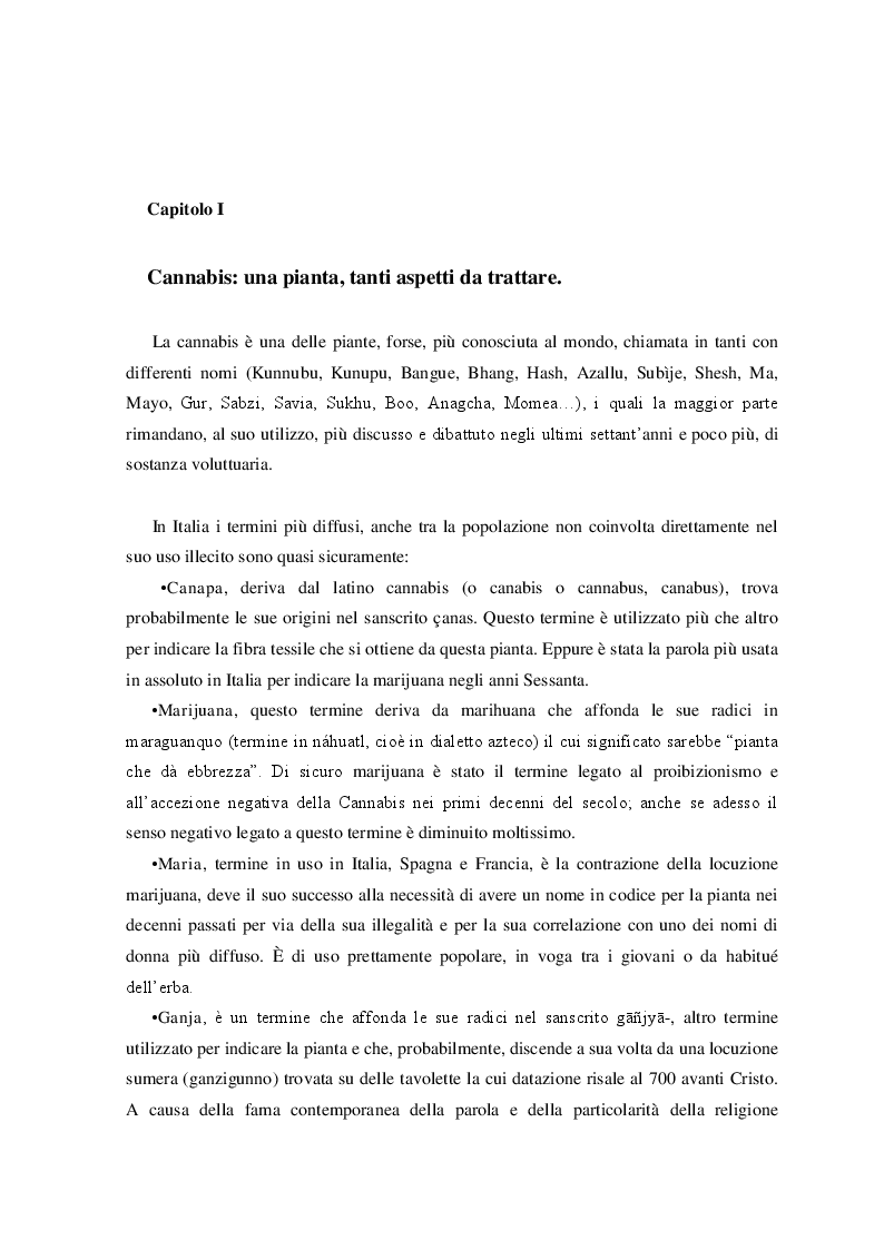 Anteprima della tesi: Cannabis. Aspetti di una devianza., Pagina 4