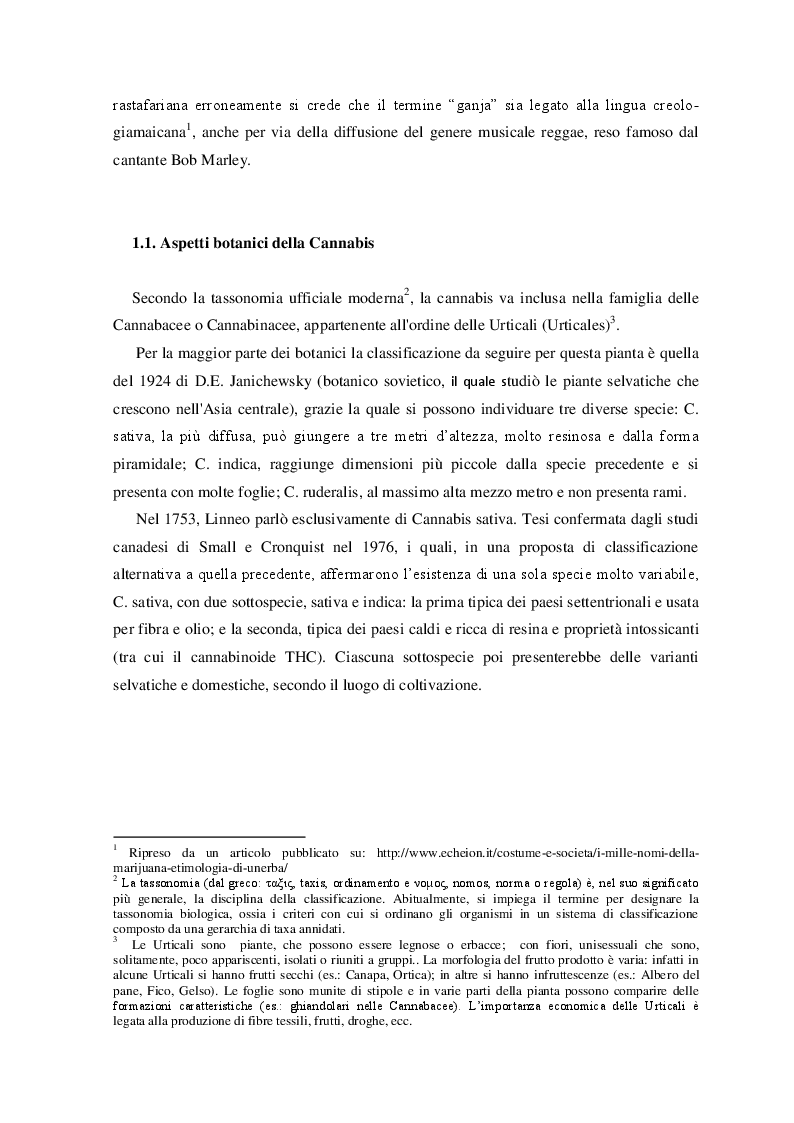 Anteprima della tesi: Cannabis. Aspetti di una devianza., Pagina 5