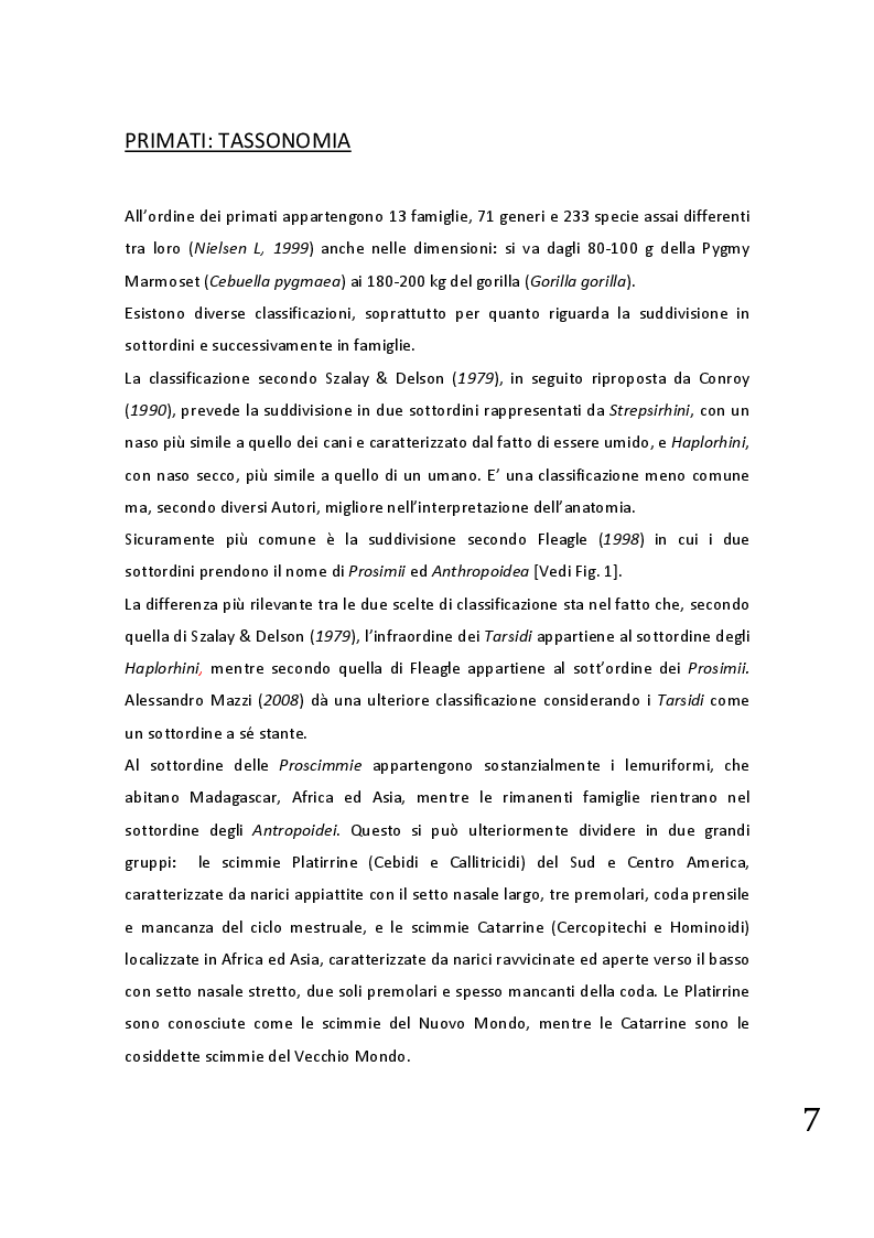 Anteprima della tesi: Protocolli applicabili nella pratica anestesiologica sui primati, Pagina 5