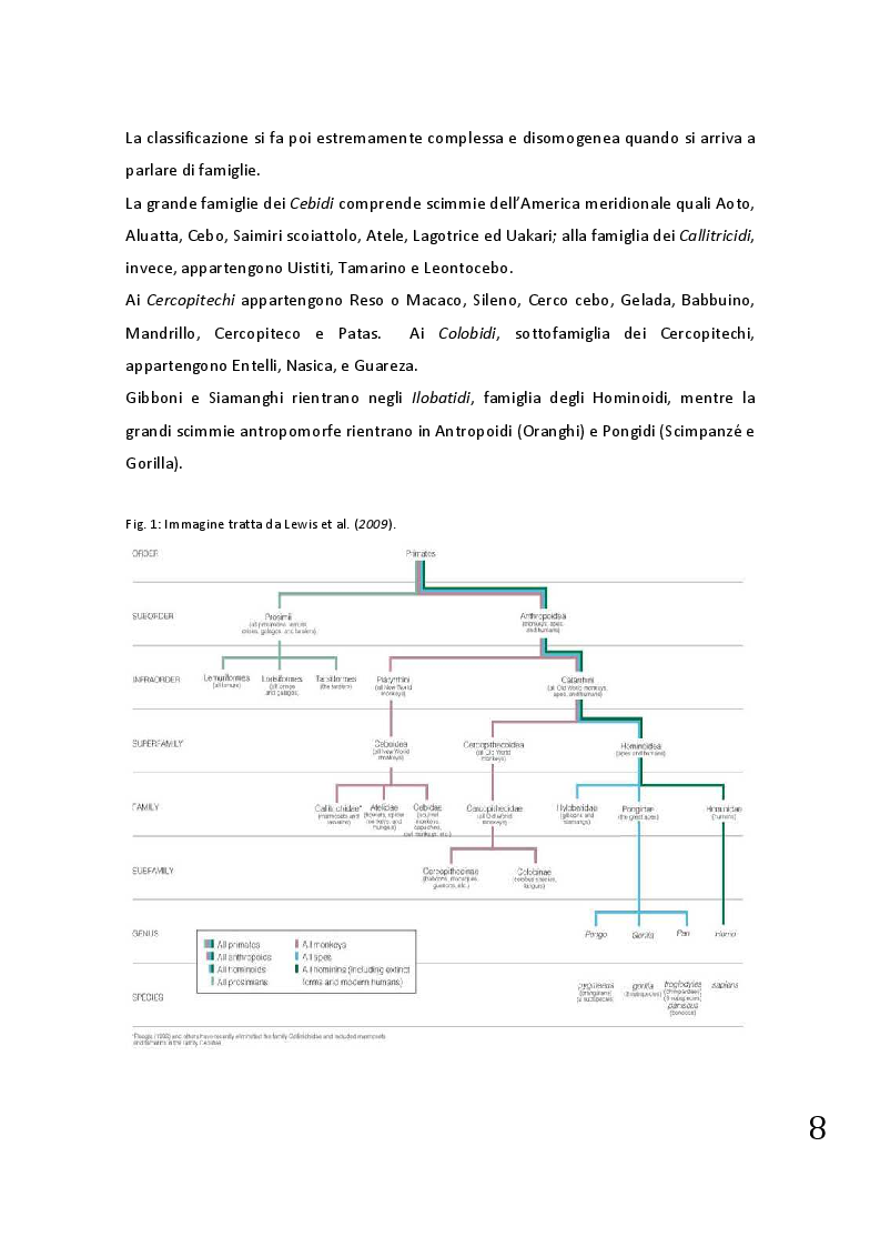 Anteprima della tesi: Protocolli applicabili nella pratica anestesiologica sui primati, Pagina 6