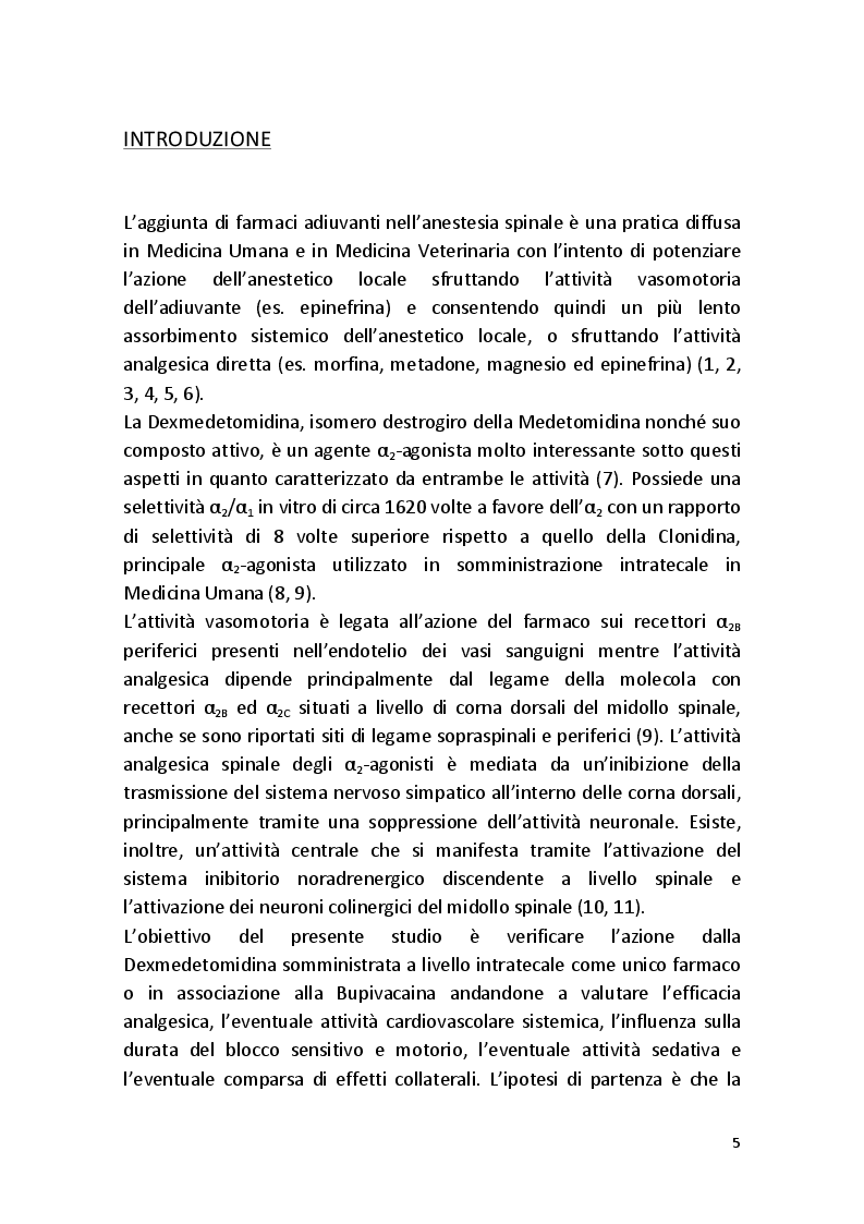 Anteprima della tesi: Effetti Analgesici e Cardiovascolari della Dexmedetomidina in Somministrazione Intratecale nel Gatto, Pagina 4