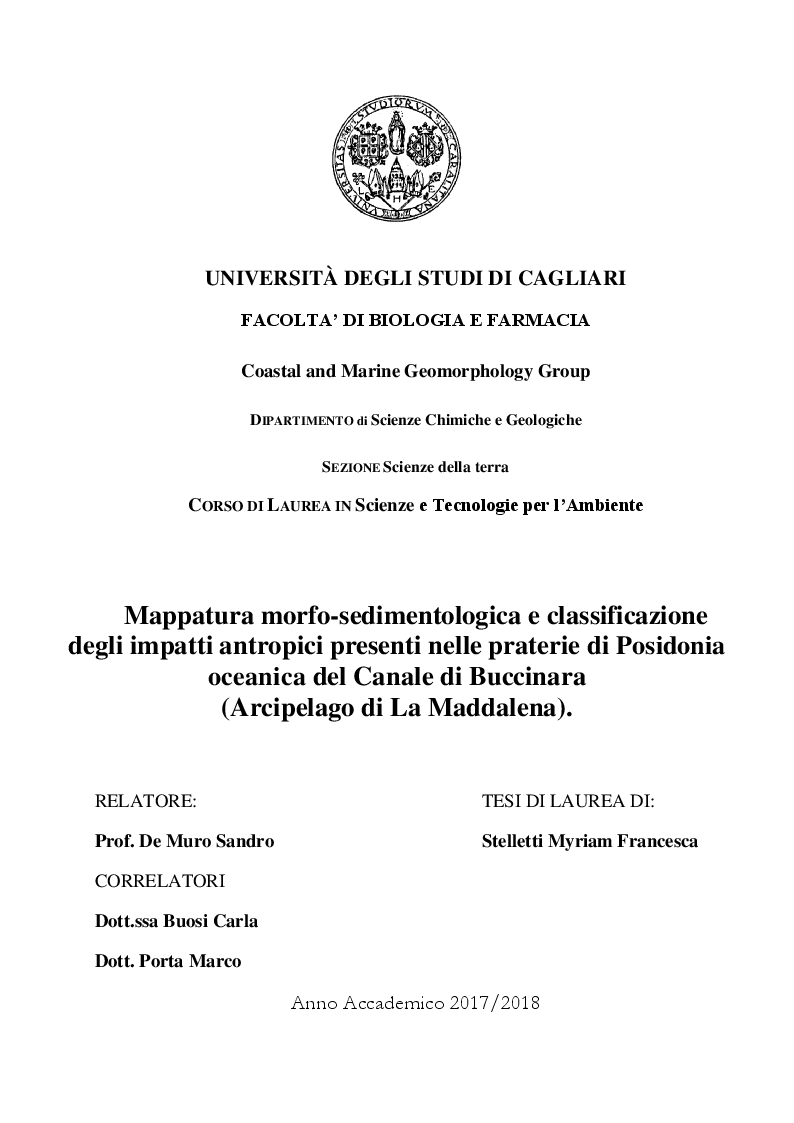 Anteprima della tesi: Mappatura morfo-sedimentologica e classificazione degli impatti antropici presenti nelle praterie di Posidonia oceanica del Canale di Buccinara (Arcipelago di La Maddalena)., Pagina 1