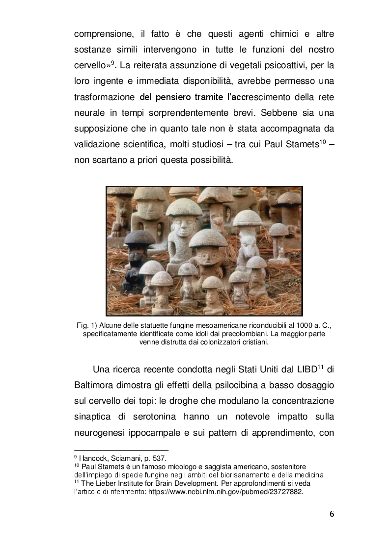 Anteprima della tesi: Alterazioni di coscienza: tra scienza e misticismo, Pagina 5