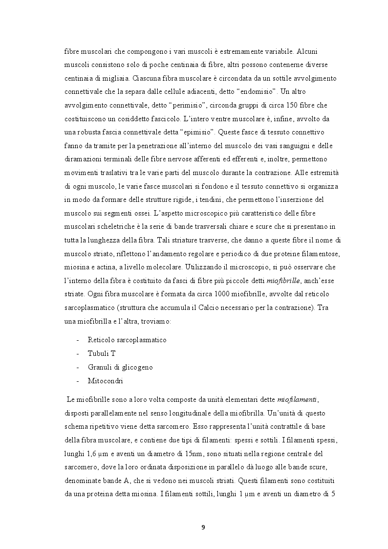Estratto dalla tesi: La forza rapida: aspetti anatomo-fisiologici e metodologie di allenamento specifiche per il calciatore moderno