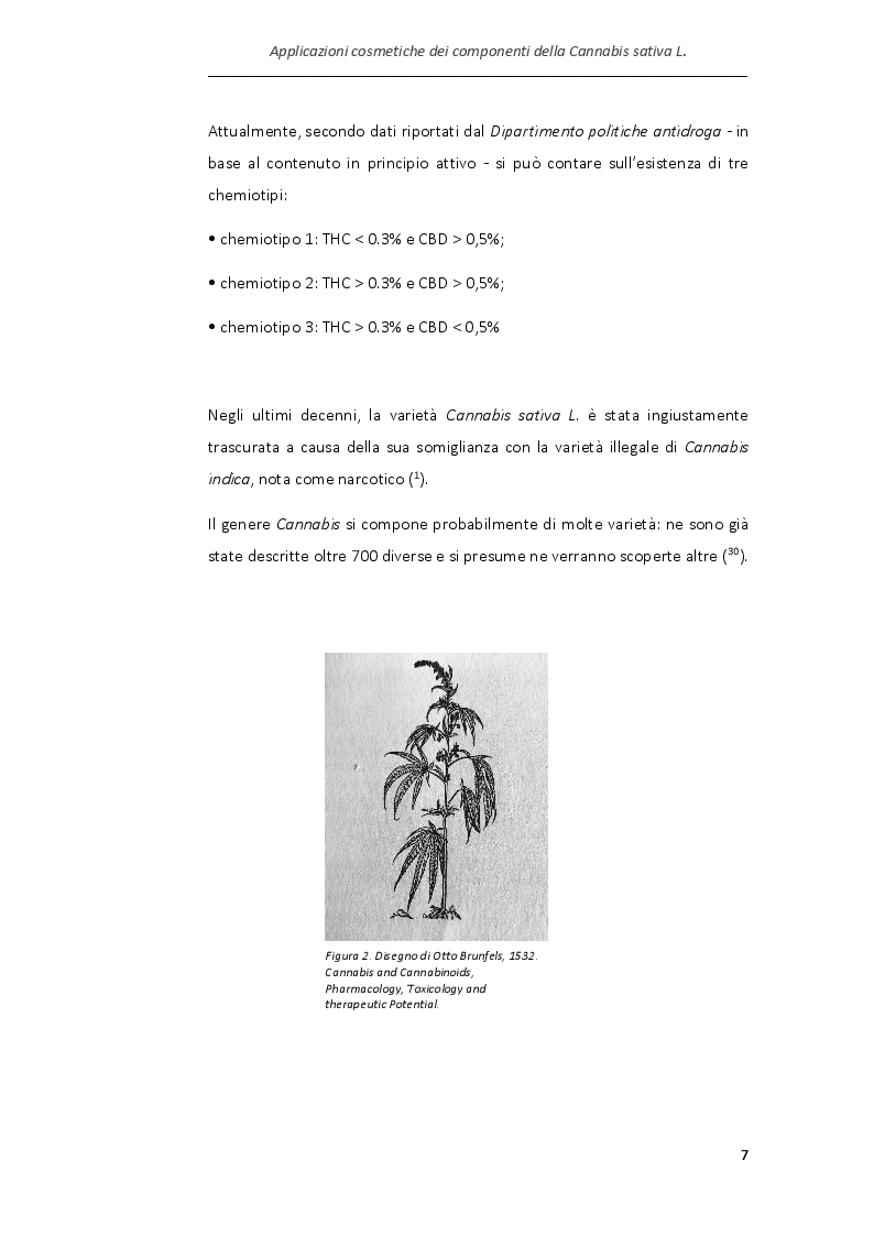 Anteprima della tesi: Applicazioni cosmetiche dei componenti della Cannabis sativa, Pagina 4