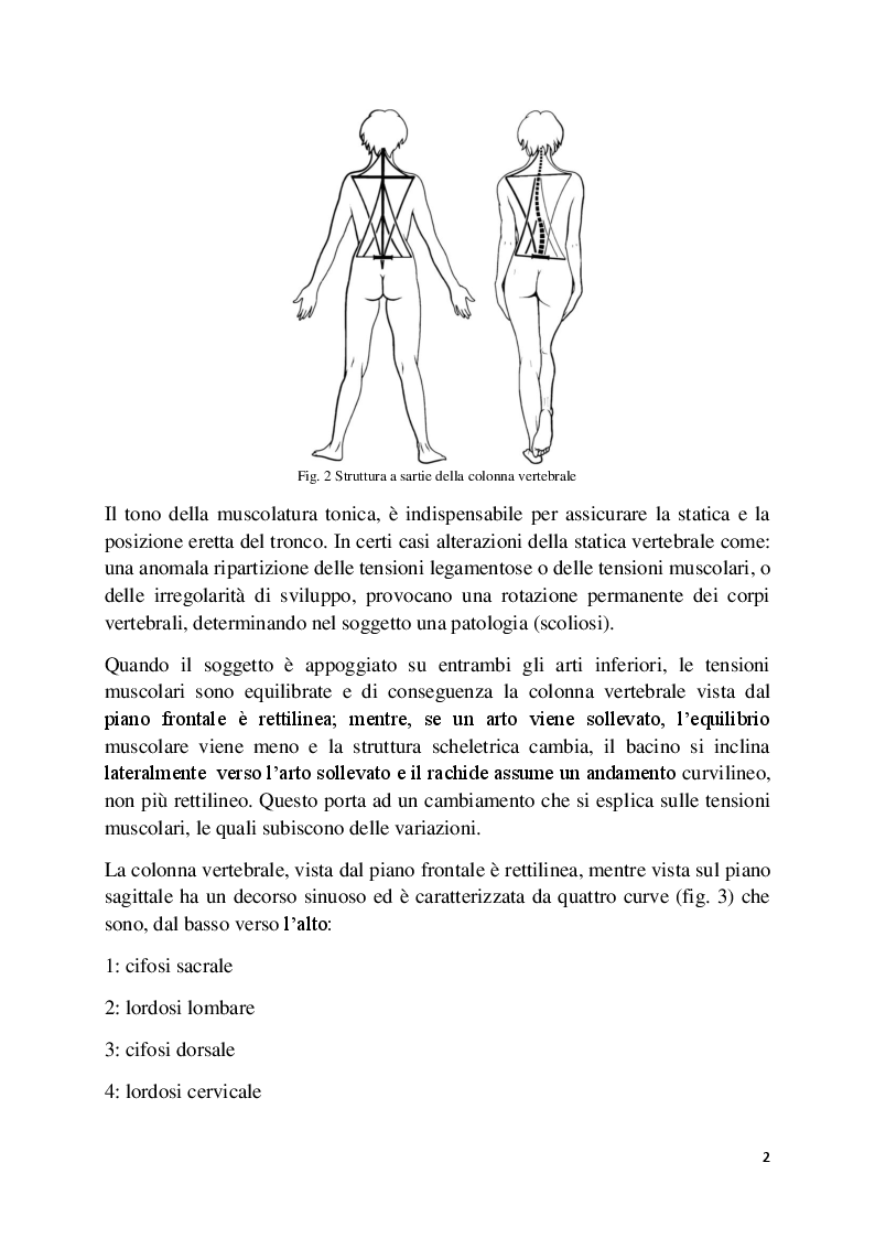 Anteprima della tesi: L'analisi posturale e la pedana stabilometrica-propriocettiva, Pagina 3