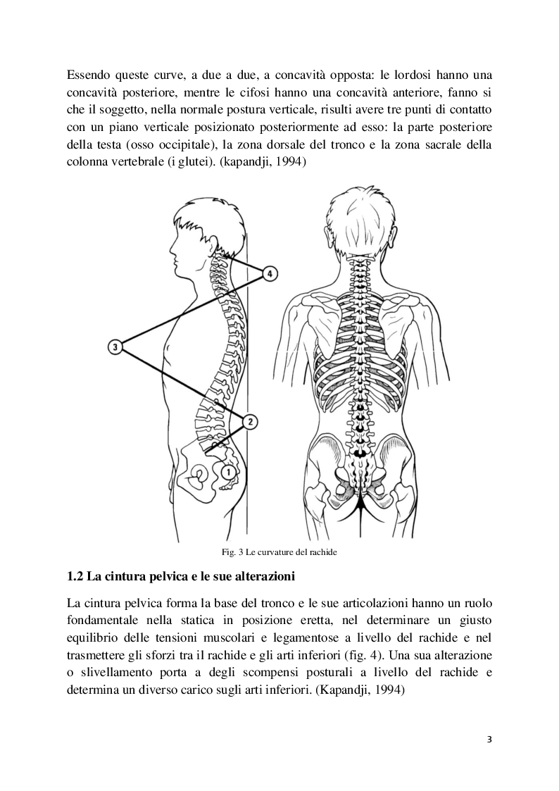 Anteprima della tesi: L'analisi posturale e la pedana stabilometrica-propriocettiva, Pagina 4