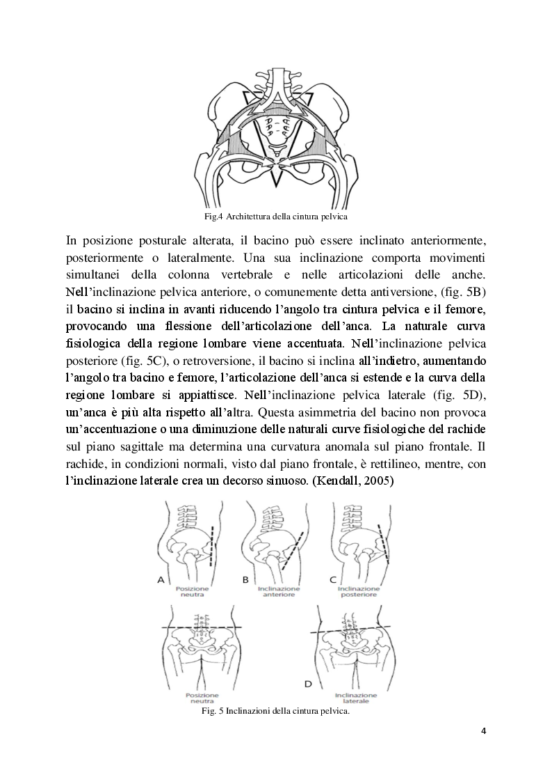 Anteprima della tesi: L'analisi posturale e la pedana stabilometrica-propriocettiva, Pagina 5