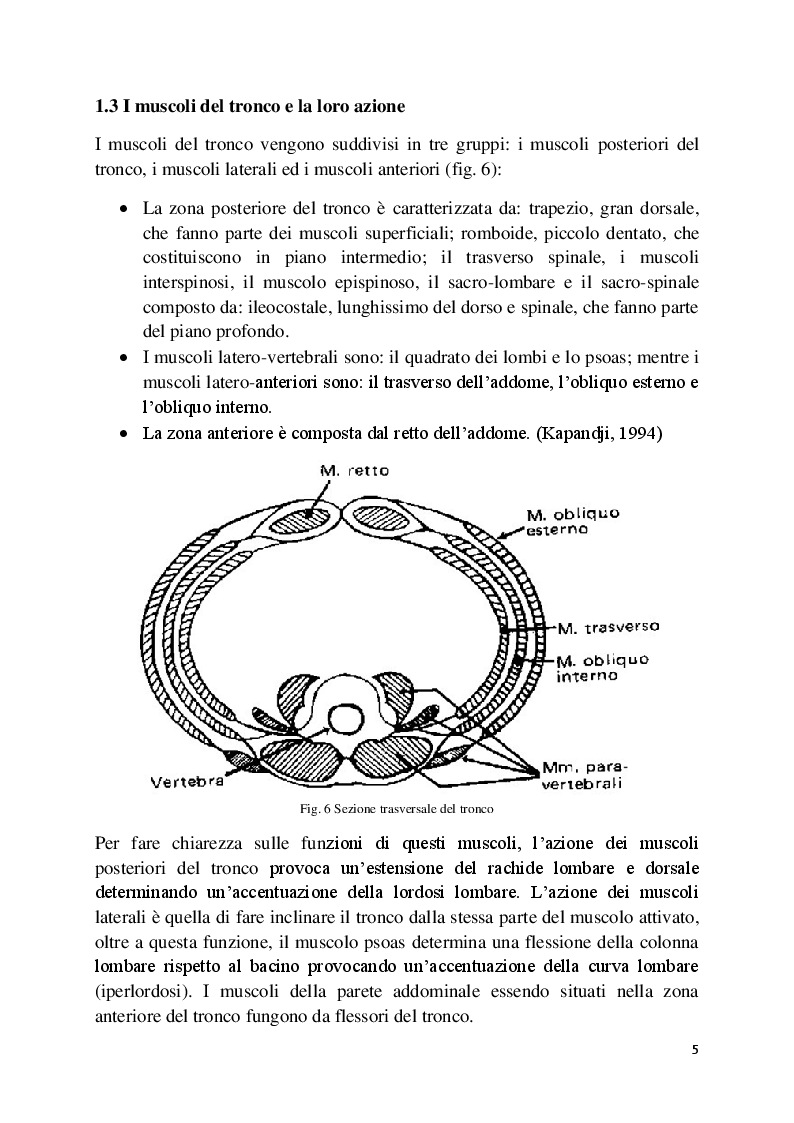 Anteprima della tesi: L'analisi posturale e la pedana stabilometrica-propriocettiva, Pagina 6