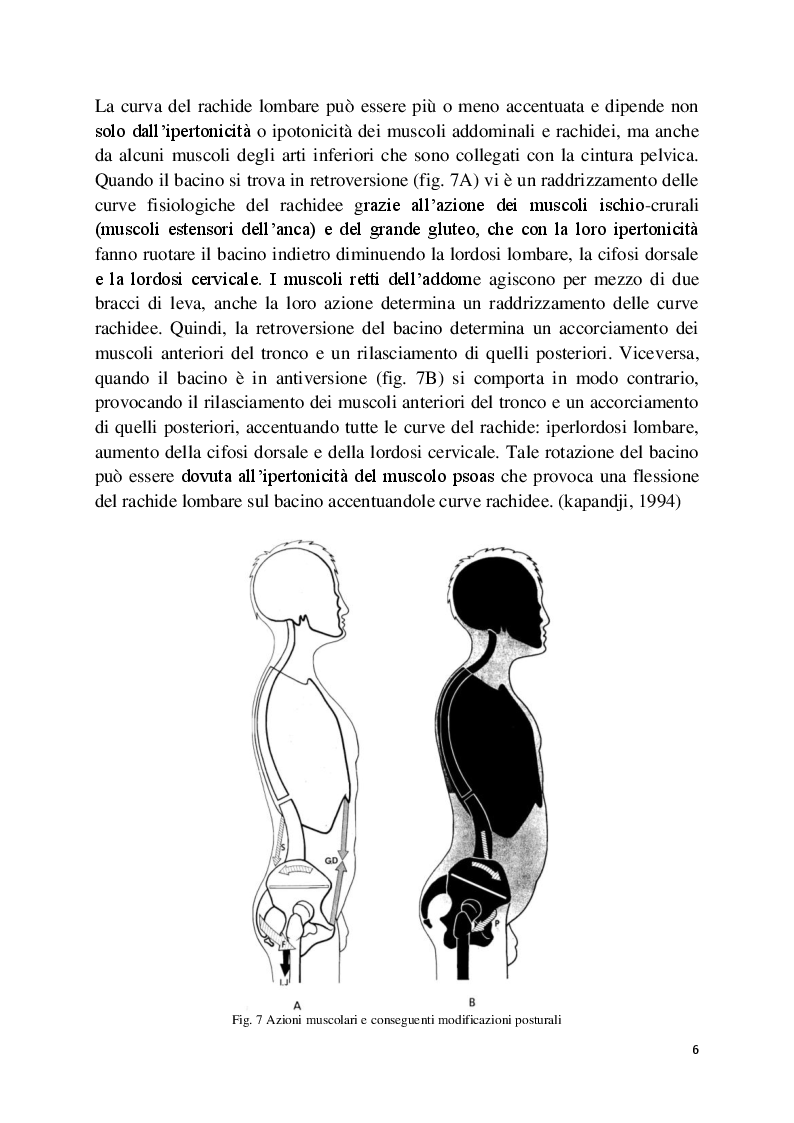 Anteprima della tesi: L'analisi posturale e la pedana stabilometrica-propriocettiva, Pagina 7