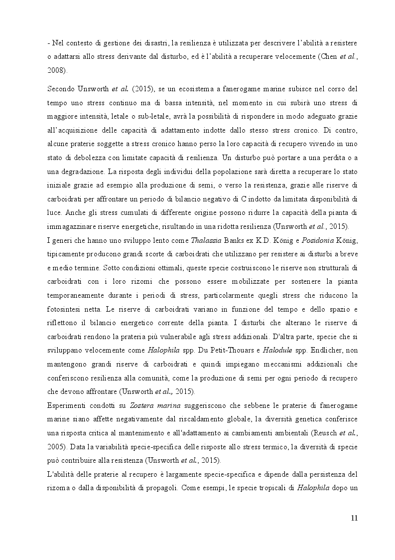Estratto dalla tesi: Studio sulle risposte allo stress termico in differenti popolazioni mediterranee ed atlantiche di Cymodocea nodosa (Ucria) Ascherson