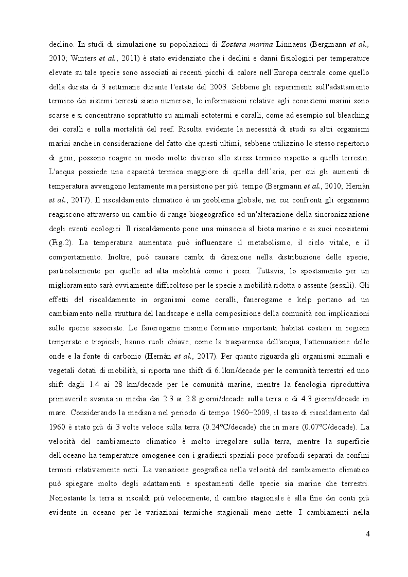 Anteprima della tesi: Studio sulle risposte allo stress termico in differenti popolazioni mediterranee ed atlantiche di Cymodocea nodosa (Ucria) Ascherson, Pagina 3