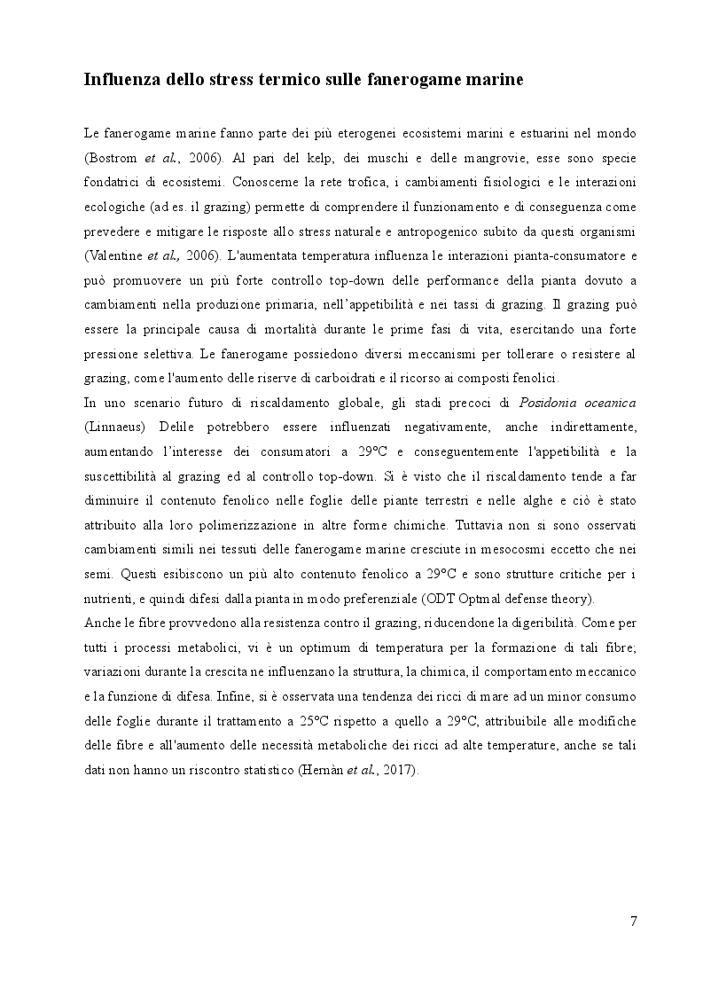 Anteprima della tesi: Studio sulle risposte allo stress termico in differenti popolazioni mediterranee ed atlantiche di Cymodocea nodosa (Ucria) Ascherson, Pagina 6