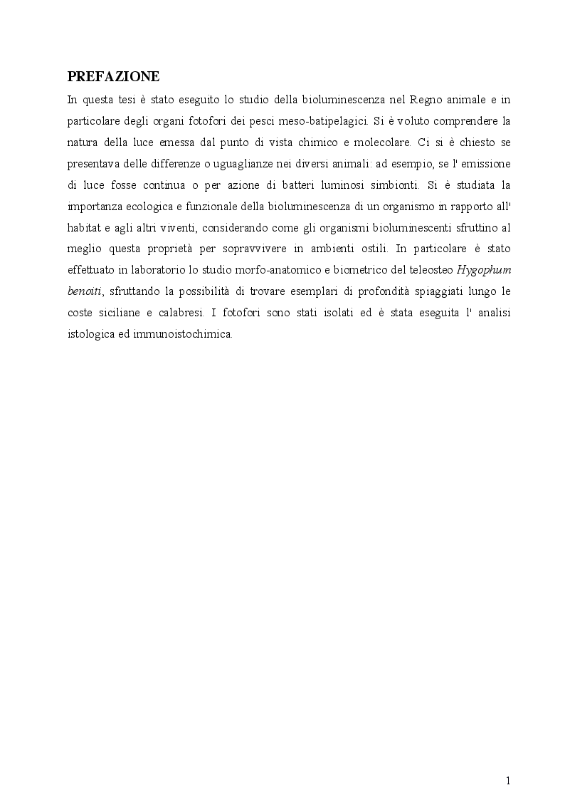 Anteprima della tesi: I fotofori di Hygophum benoiti (Cocco) 1838, Pagina 3
