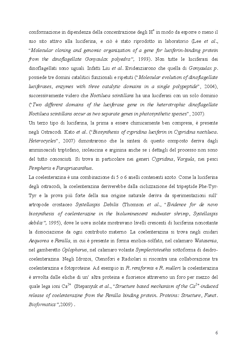 Anteprima della tesi: I fotofori di Hygophum benoiti (Cocco) 1838, Pagina 8