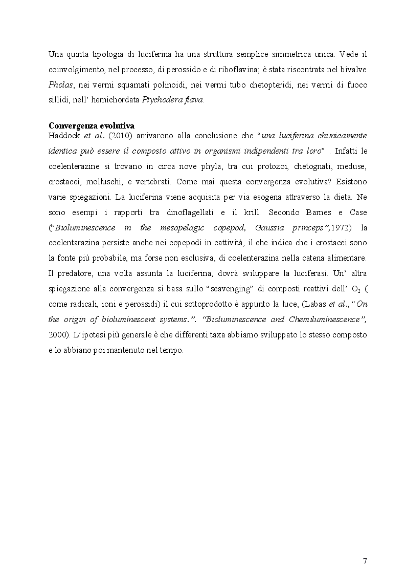 Anteprima della tesi: I fotofori di Hygophum benoiti (Cocco) 1838, Pagina 9