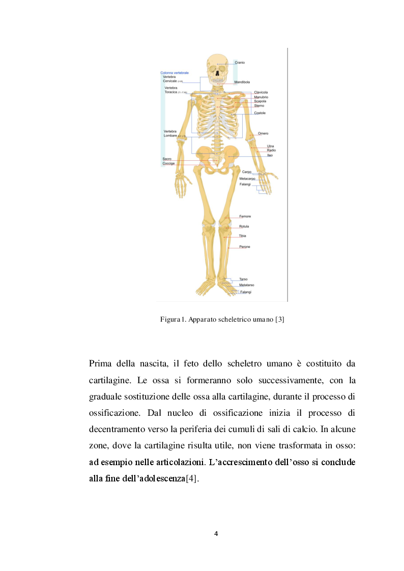 Anteprima della tesi: Analisi dei modelli per l’analisi del contatto fra osso e protesi, Pagina 5