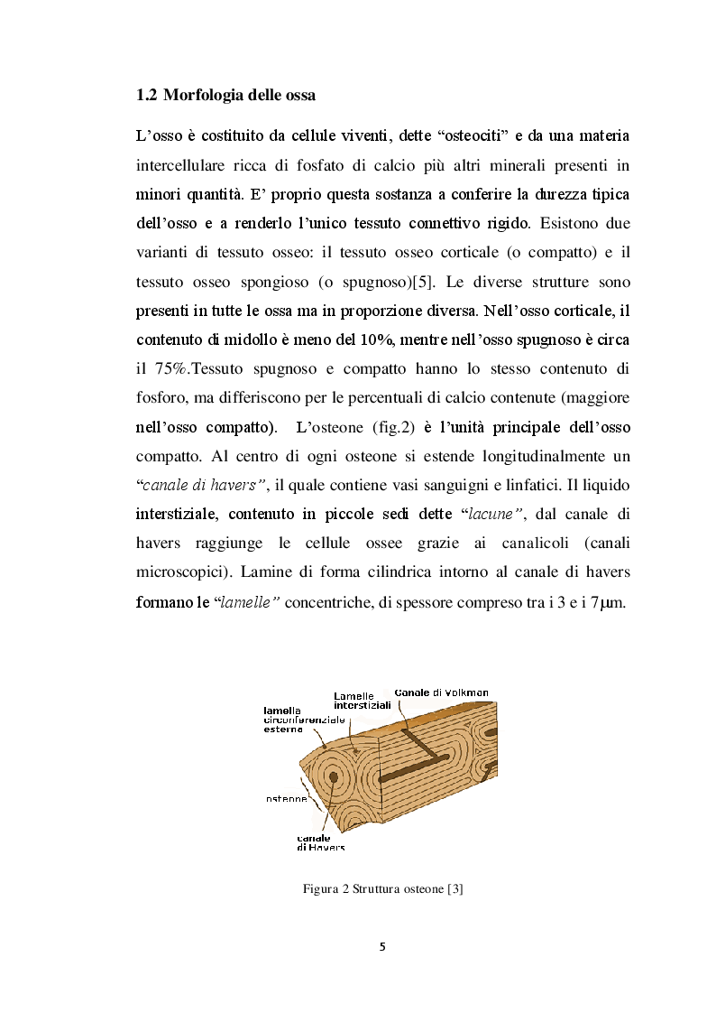 Anteprima della tesi: Analisi dei modelli per l’analisi del contatto fra osso e protesi, Pagina 6