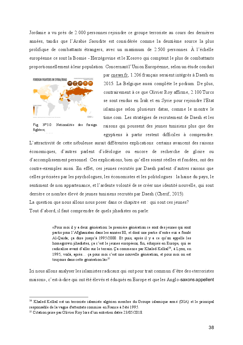 Anteprima della tesi: Le processus de radicalisation: prise de conscience, Pagina 3
