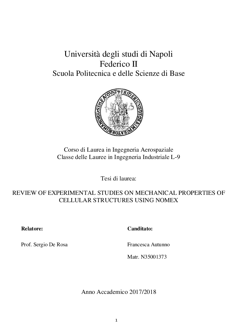 Anteprima della tesi: Review Of Experimental Studies On Mechanical Properties Of Cellular Structures Using Nomex, Pagina 1