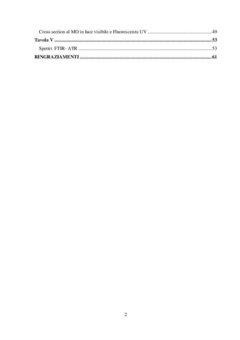Indice della tesi: I dipinti murali dei chiostri francescani: indagini diagnostiche micro-invasive per la caratterizzazione della tecnica pittorica e dello stato di conservazione, Pagina 2