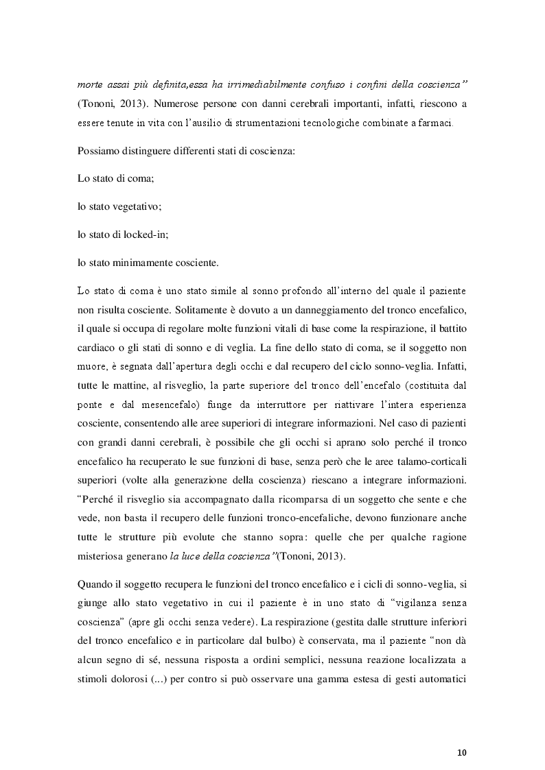 Estratto dalla tesi: La coscienza nella Teoria dell'Informazione Integrata: una prospettiva relativistica
