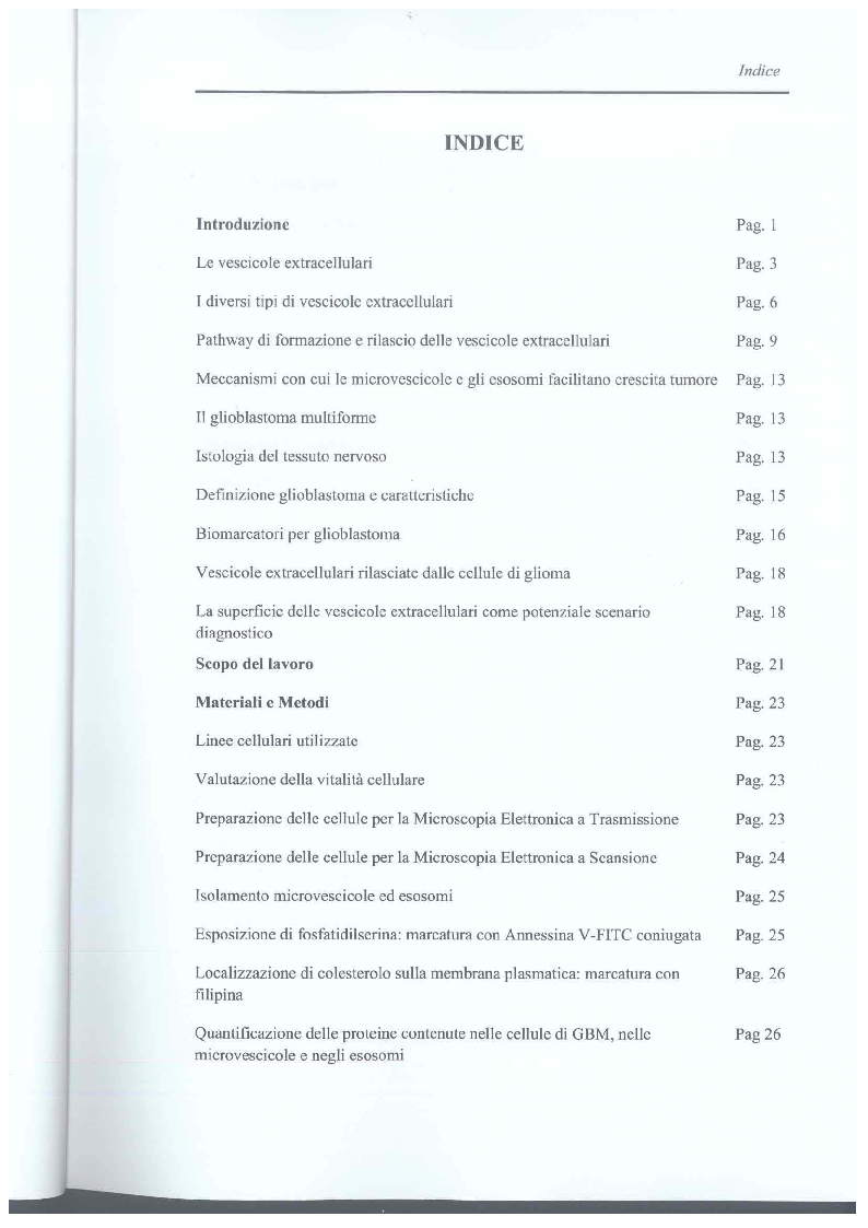 Indice della tesi: Studio di vescicole extracellulari rilasciate da cellule di glioblastoma per scopo diagnostico, Pagina 1