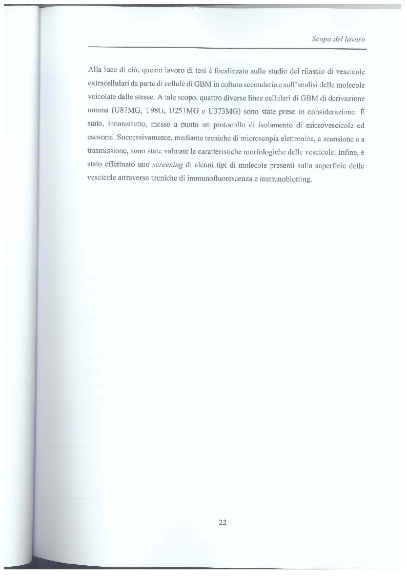 Anteprima della tesi: Studio di vescicole extracellulari rilasciate da cellule di glioblastoma per scopo diagnostico, Pagina 3