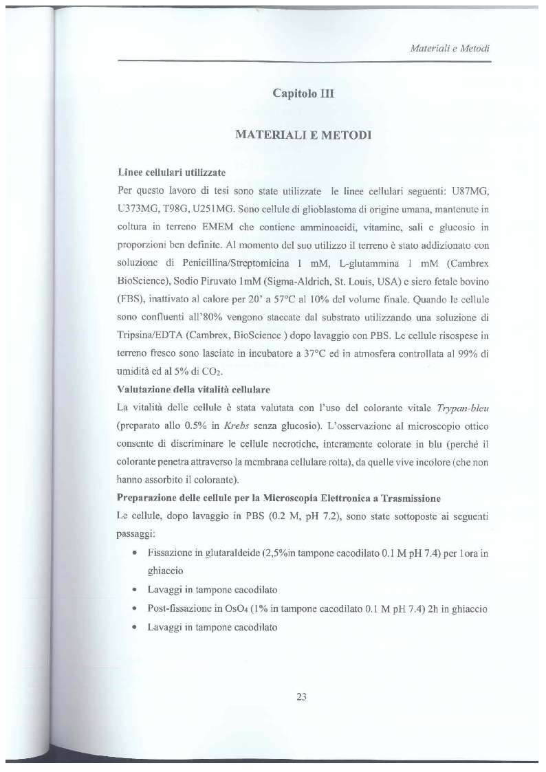 Anteprima della tesi: Studio di vescicole extracellulari rilasciate da cellule di glioblastoma per scopo diagnostico, Pagina 4